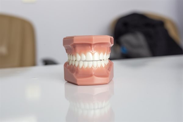 Ortopedia funcional dos maxilares — modelo de arcada dentária